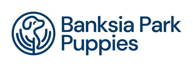Banksia Park Puppies - www.banksiaparkpuppies.com.au 03 9842 4577