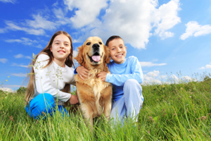 Ian The Dog Trainer can help teach your children to understand how to play safely with your dog.