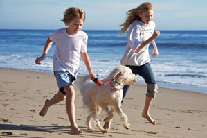 The whole family, including children, should be involved in the caring and training of your dog.